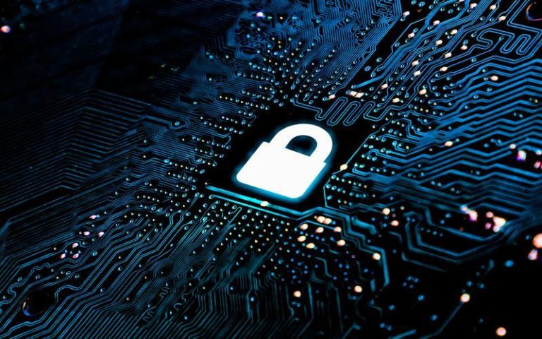 Navigating the Complexities of Vulnerability Management in the Digital Age