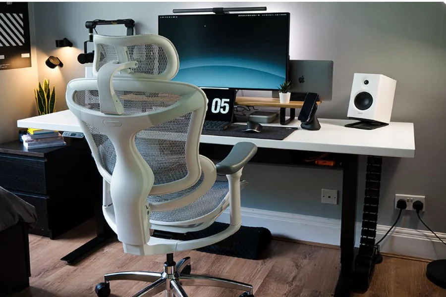 Office Chair Is the Sihoo Doro C300 the Best Prime Day Office Chair for Back Pain Relief?